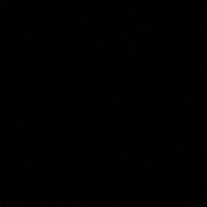 Meet your Posher, Darriane